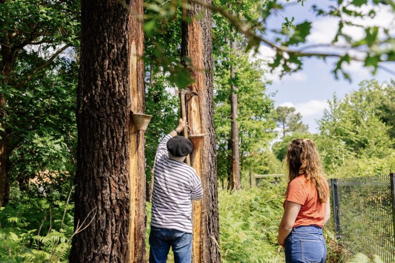 Journée découverte du Conservatoire des Landes de Gascogne