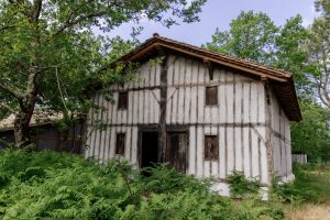Journée découverte du Conservatoire des Landes de Gascogne