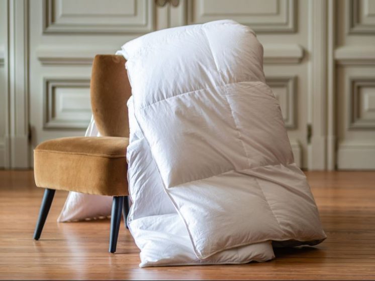 Visite guidée : Manufacture Castex