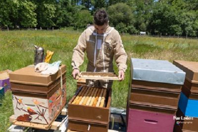 Visite guidée : Apiculteur d&rsquo;un jour