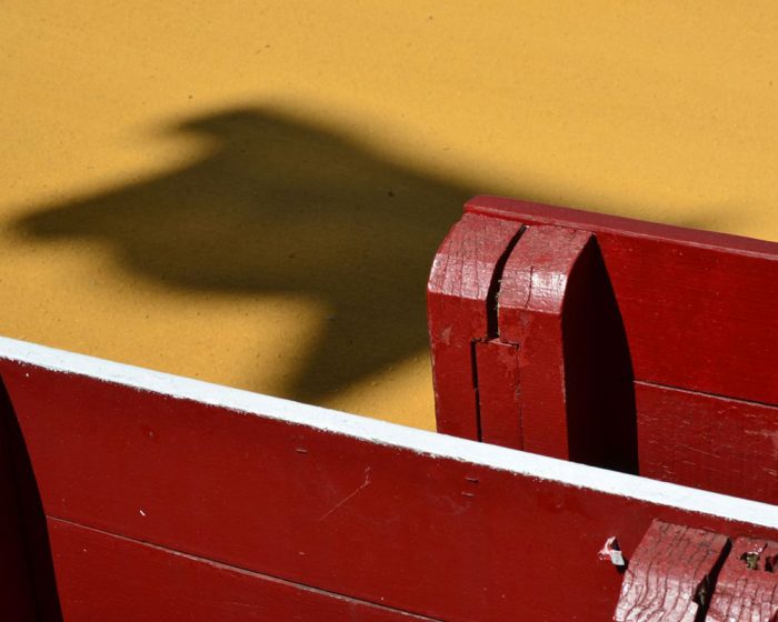 Visite guidée : Corrida