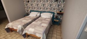 Les Albizias I n° 8 et n°9