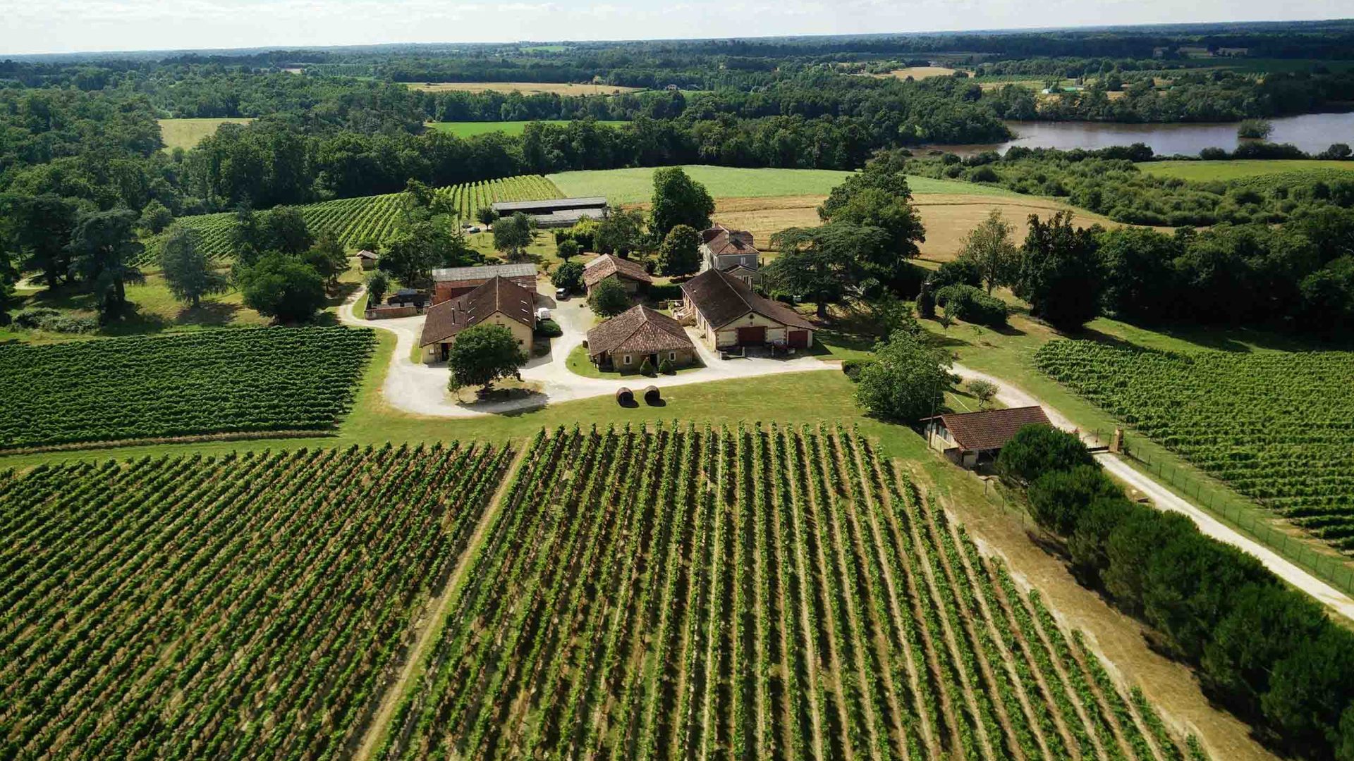 Domaine du château Garreau et ses vignes