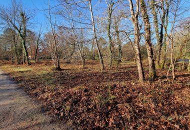 52863327  – Terrain à MEZOS