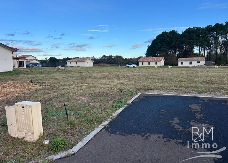 52795031  – Terrain à TOSSE