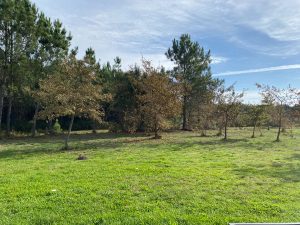 52927247  – Maison – 9 pièces à ARENGOSSE