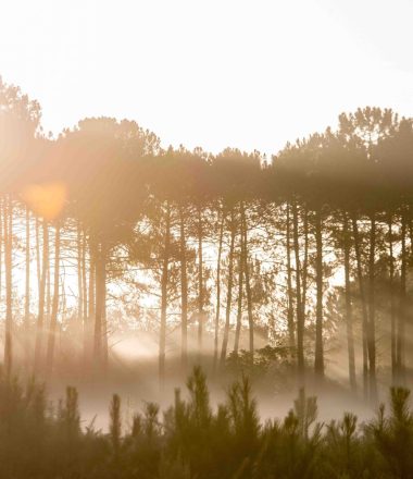 Choisir votre lieu de vie