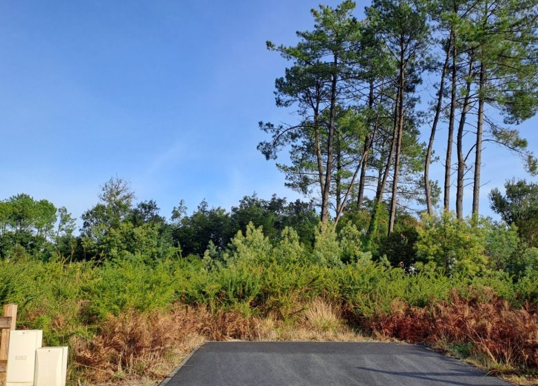 52803037  – Terrain à MOLIETS ET MAA