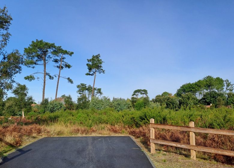 52803039  – Terrain à MOLIETS ET MAA