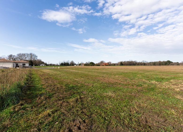 52829755  – Terrain à ST MARTIN DE HINX