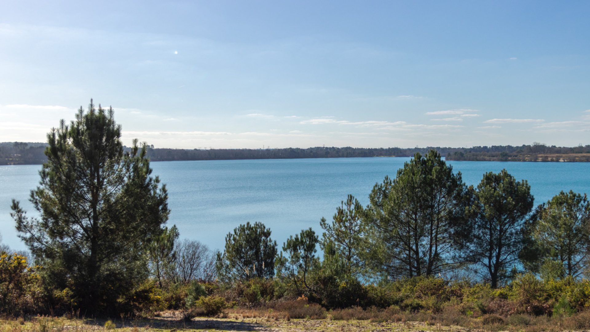 Réserve naturelle nationale d'Arjuzanx