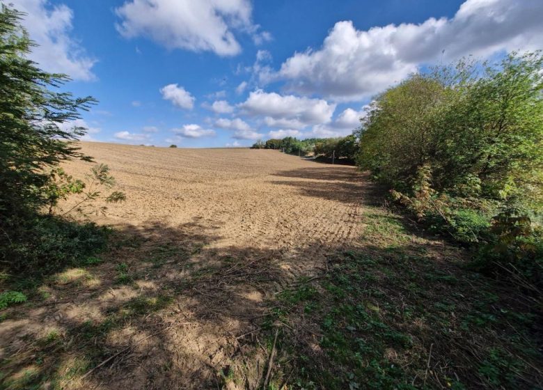 52737951  – Terrain à ST AUBIN