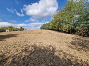 52737951  – Terrain à ST AUBIN