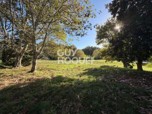 52735439  – Maison – 5 pièces à CASTETS