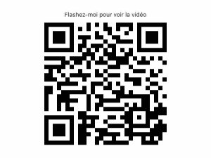 52936071  – Maison – 4 pièces à LABENNE