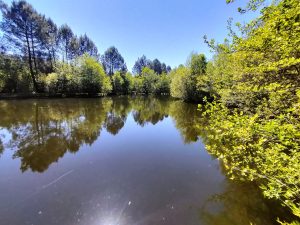 52462104  – Maison – 7 pièces à ROQUEFORT