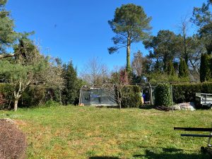 52935346  – Maison – 6 pièces à TARTAS