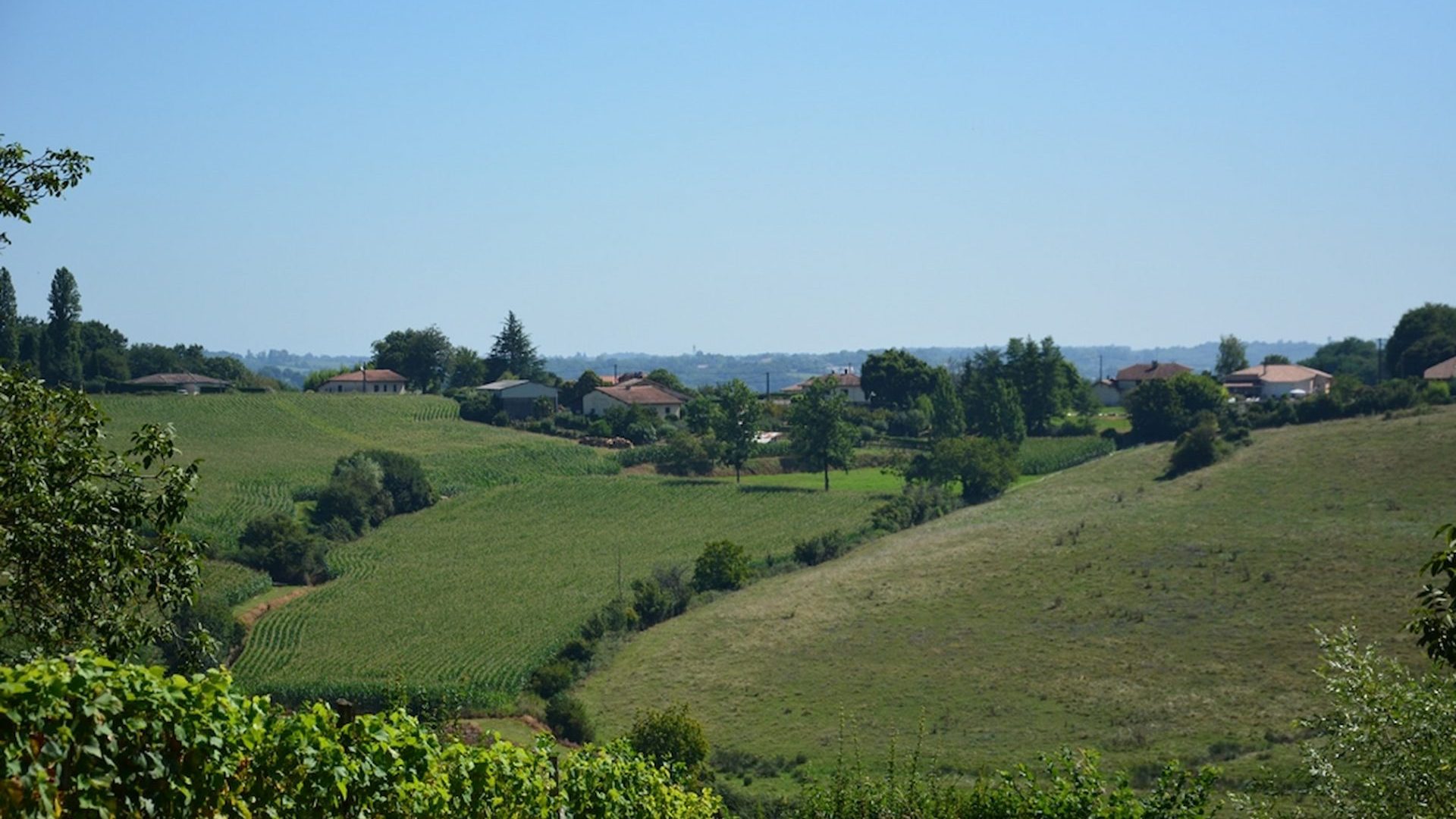 Champs et vignes en Terre de Chalosse