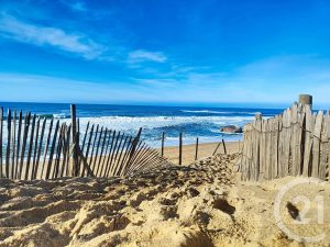 52899989  – Maison – 5 pièces à LABENNE