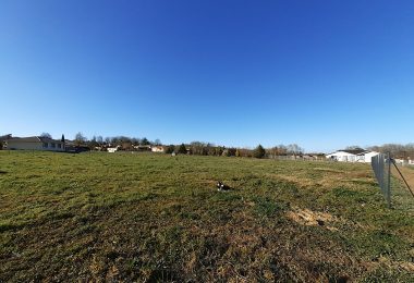 51922474  – Terrain à HAGETMAU