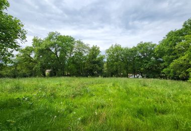 52173831  – Terrain à AUDIGNON