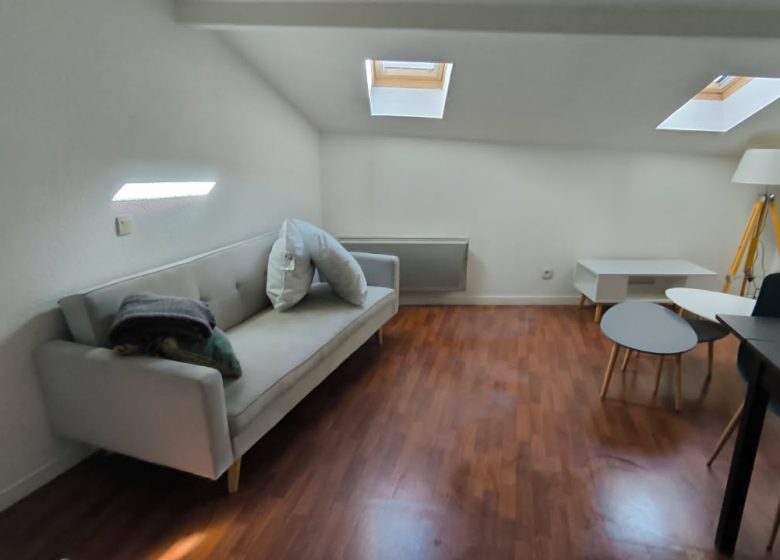 52805130  – Appartement – 1 pièces à ST SEVER