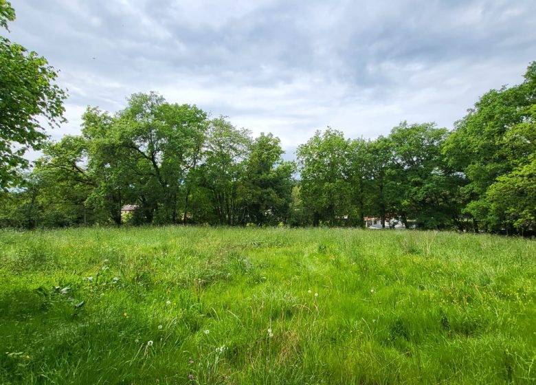 52173831  – Terrain à AUDIGNON