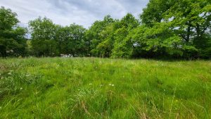 52173831  – Terrain à AUDIGNON