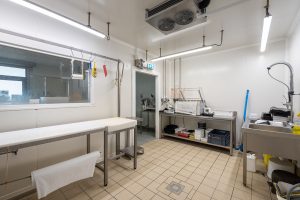 52364381  – Local commercial à AMOU