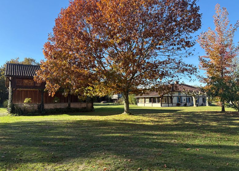 52780615  – Maison – 6 pièces à RION DES LANDES