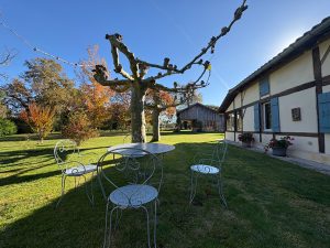 52780615  – Maison – 6 pièces à RION DES LANDES