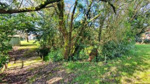 52944931  – Maison – 4 pièces à HAGETMAU