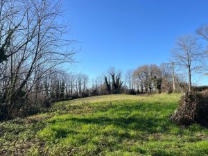 52947551  – Maison – 5 pièces à HABAS