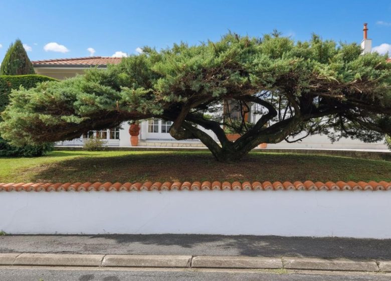 52606135  – Maison – 4 pièces à ST PAUL LES DAX