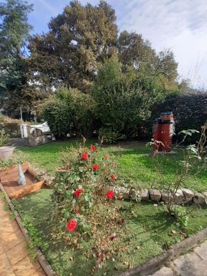 52732006  – Maison – 3 pièces à DAX