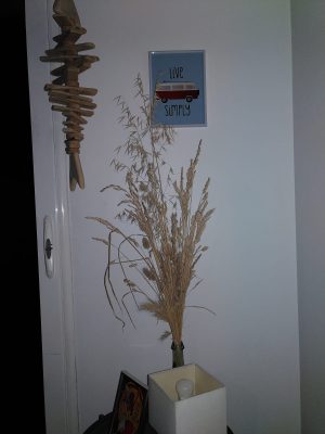 Appartement Aumaitre