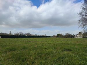 52954124  – Terrain à ST YAGUEN