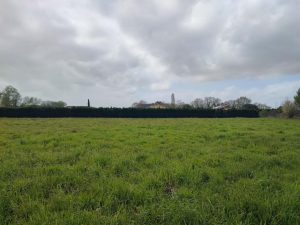 52954058  – Terrain à ST YAGUEN