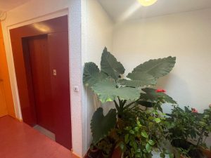 52952441  – Appartement – 3 pièces à ST PAUL LES DAX