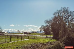 52870391  – Maison – 3 pièces à ST MARTIN DE SEIGNANX