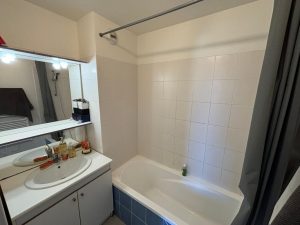 52733891  – Appartement – 2 pièces à ST PIERRE DU MONT