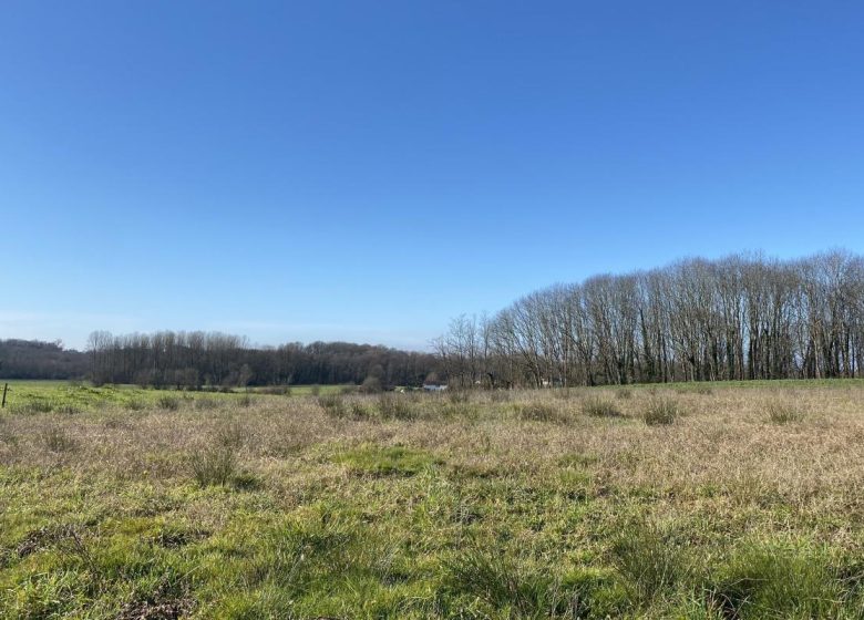 51854917  – Terrain à OZOURT