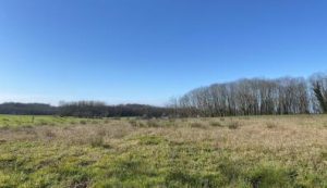 51854917  – Terrain à OZOURT