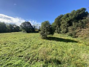 51782896  – Maison – 5 pièces à POMAREZ