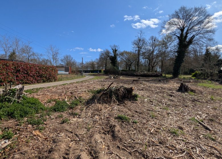 52955521  – Terrain à MONT DE MARSAN