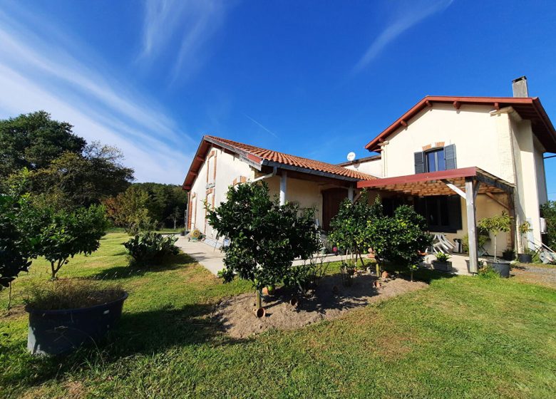 52721477  – Maison – 4 pièces à ST VINCENT DE TYROSSE