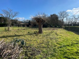 52377811  – Maison – 6 pièces à CARCEN PONSON