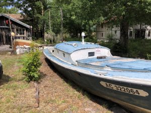 Journée découverte du Conservatoire des Landes de Gascogne