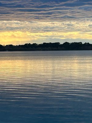 52709901  – Maison – 4 pièces à ARJUZANX