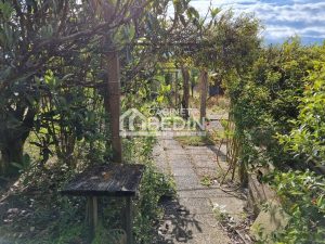 51938516  – Maison – 8 pièces à MIMIZAN